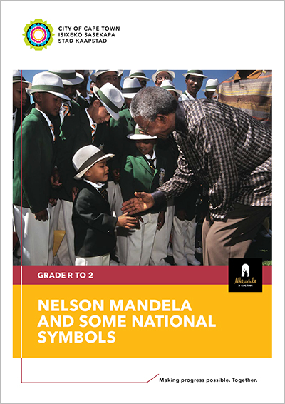 City invests R1,1 million in streetlight and anti-vandalism upgrades in Bishop Lavis