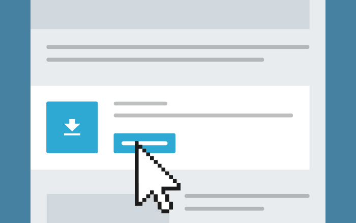 Download a PDF