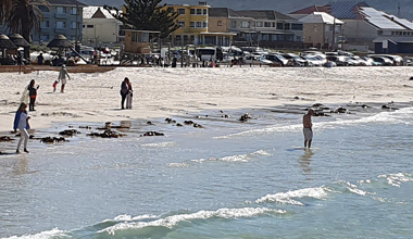 Eight Cape Town beaches earn Blue Flag status with four more named pilot sites